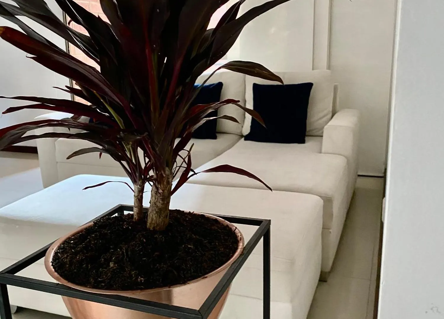 Aparthotels Creates Group Medellin 0*,  Colombia